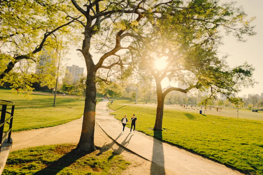 Carolyn Smith Foundation Environment