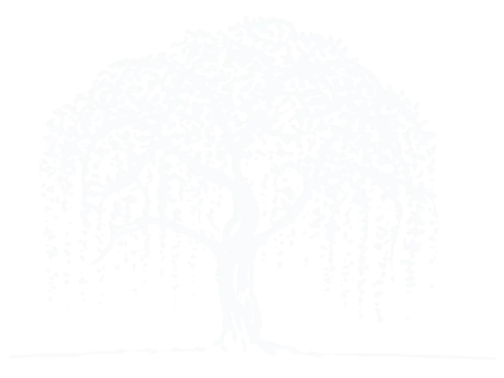 Carolyn Smith tree white